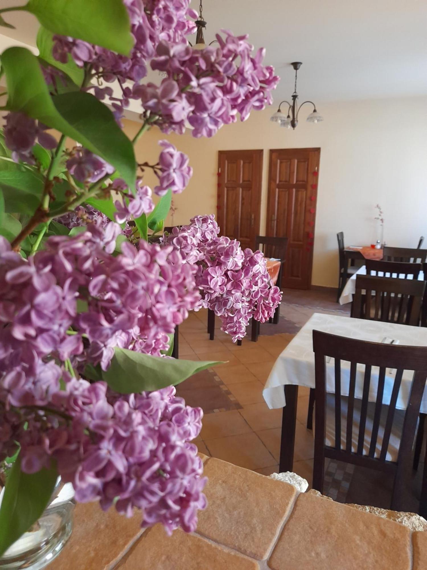 Harmonia Wellness Villa Szilvásvárad エクステリア 写真